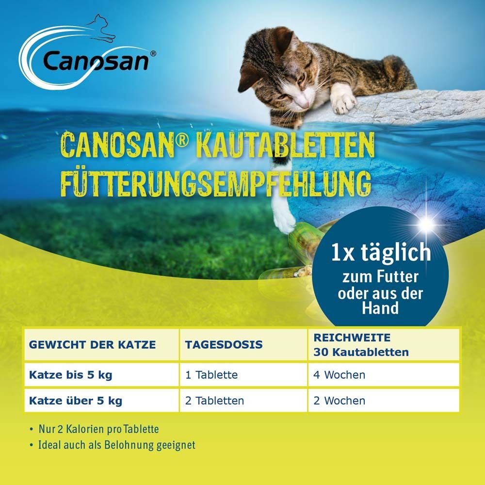 Canosan® Complément alimentaire pour chats