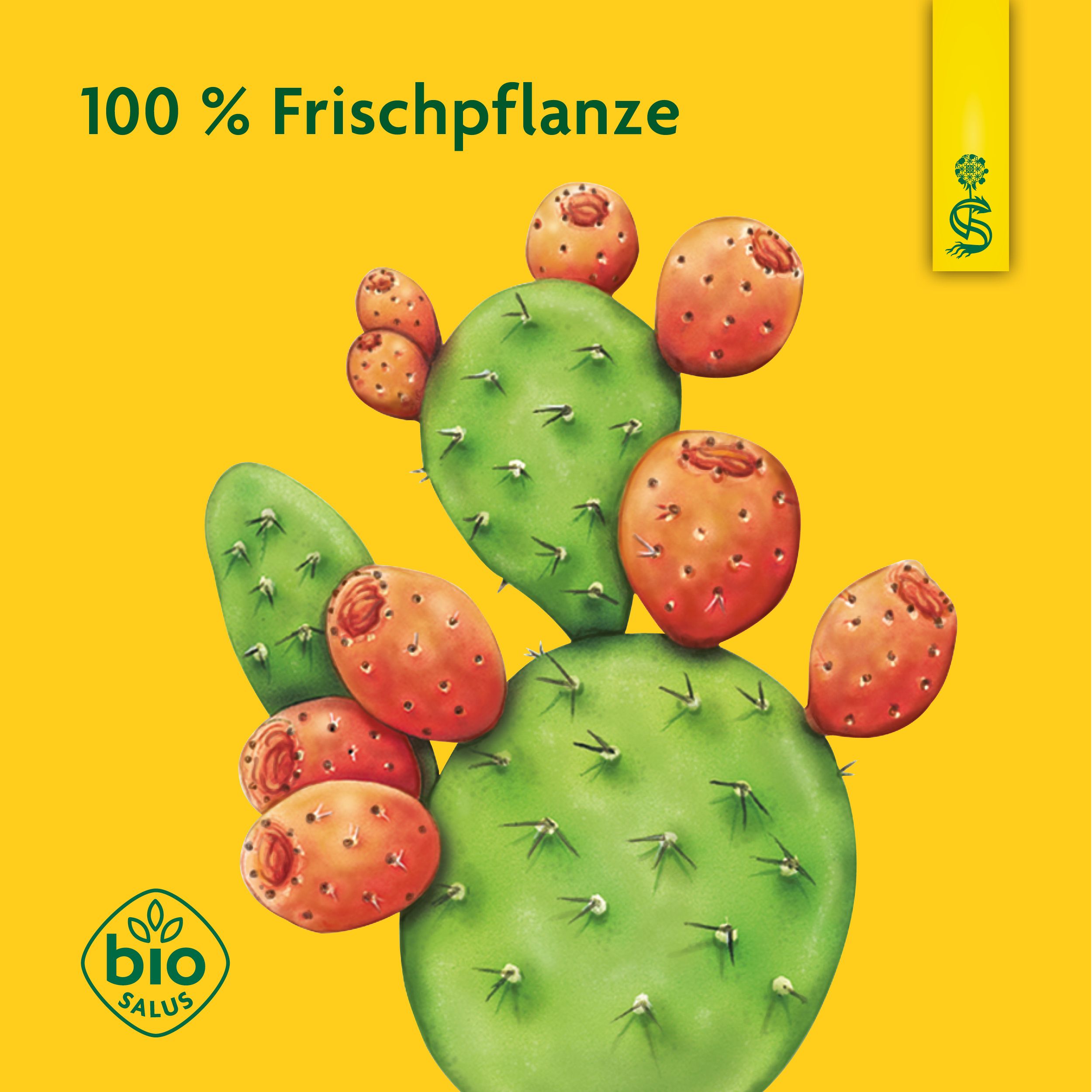 Schoenenberger® naturreiner Fruchtsaft Kaktusfeige