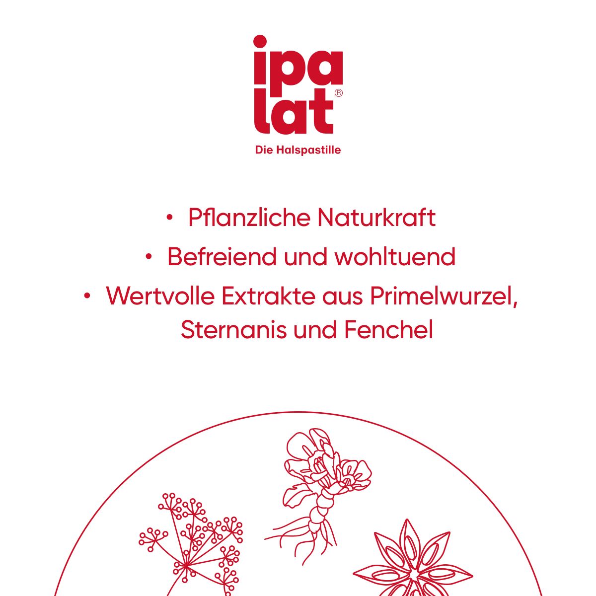 ipalat® Halspastillen zuckerfrei