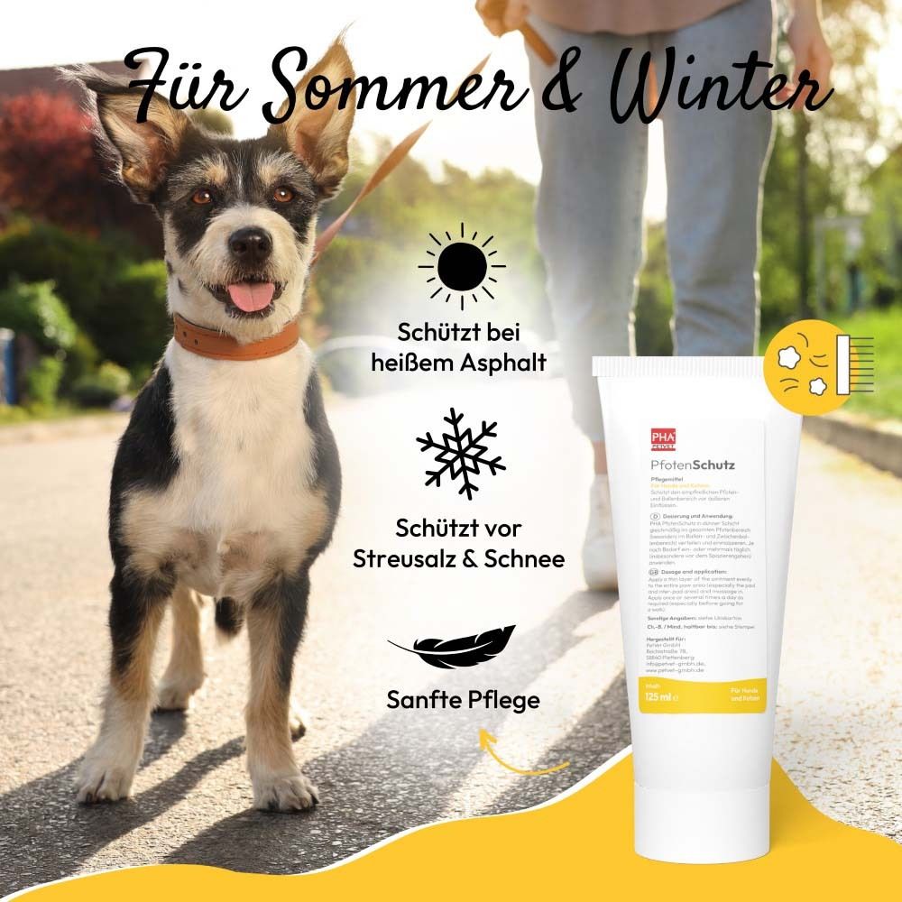 Personne avec un chien sur l'asphalte. Texte : Pour l'été et l'hiver. Produit et icônes. Texte : PfotenSchutz, 125 ml.