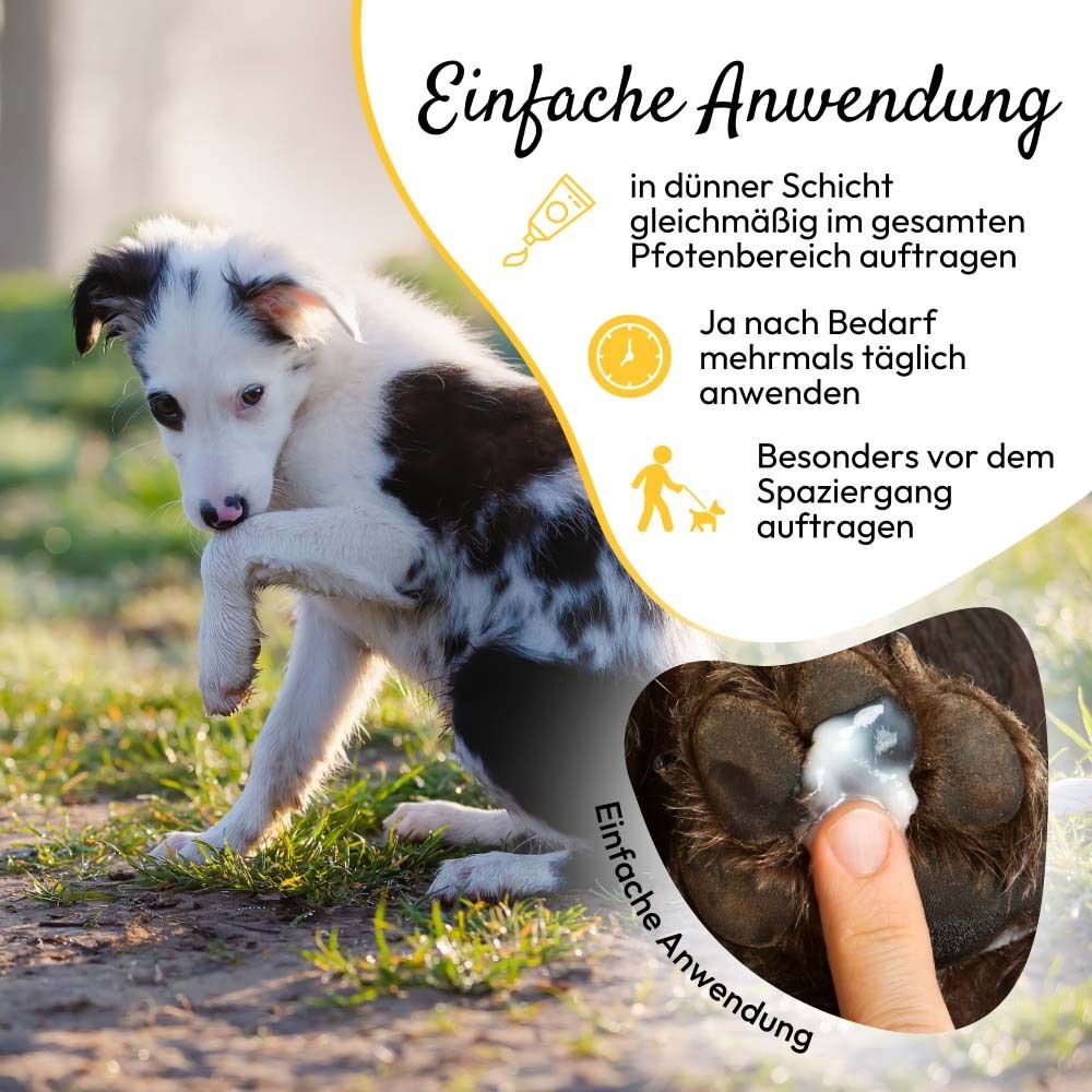 Patte de chien avec crème. Texte : Application facile. Texte : PfotenSchutz. Instructions d'utilisation.