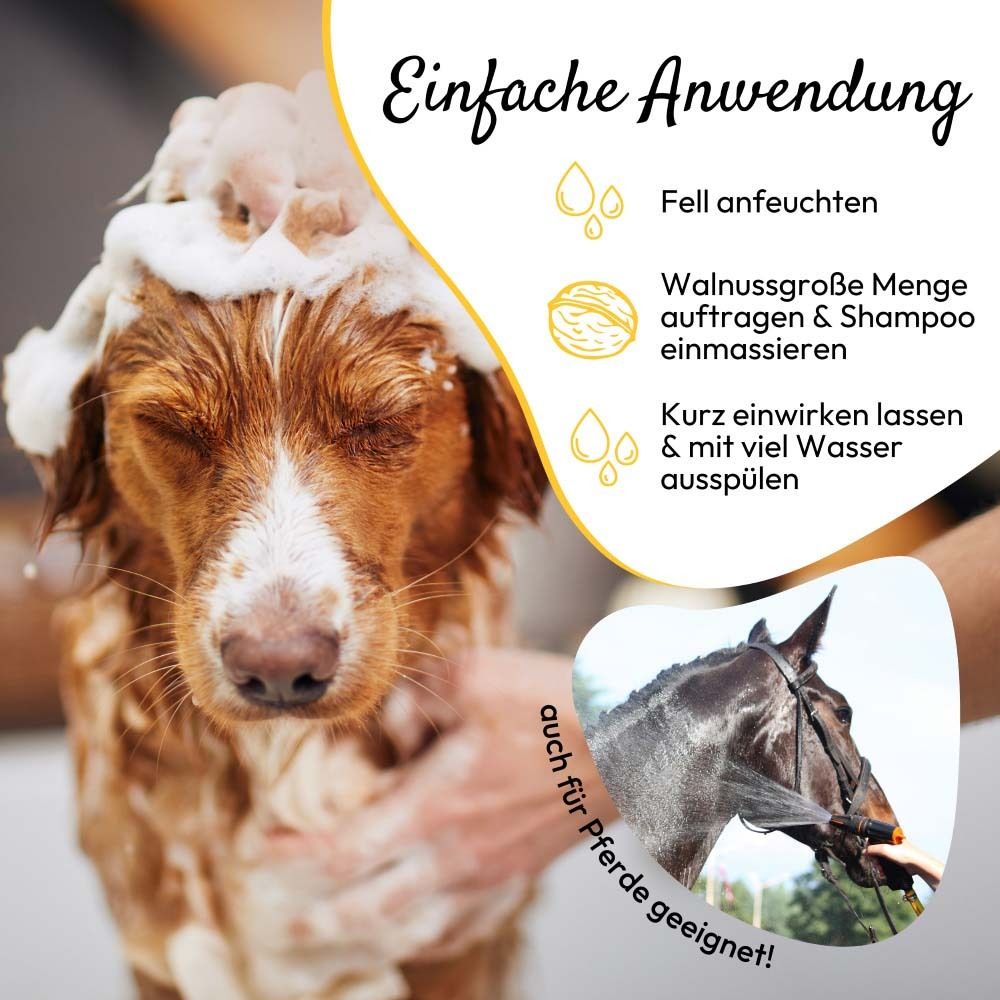 Produktbild von PHA RelaxShampoo. Hund wird gewaschen, Text über Anwendung.