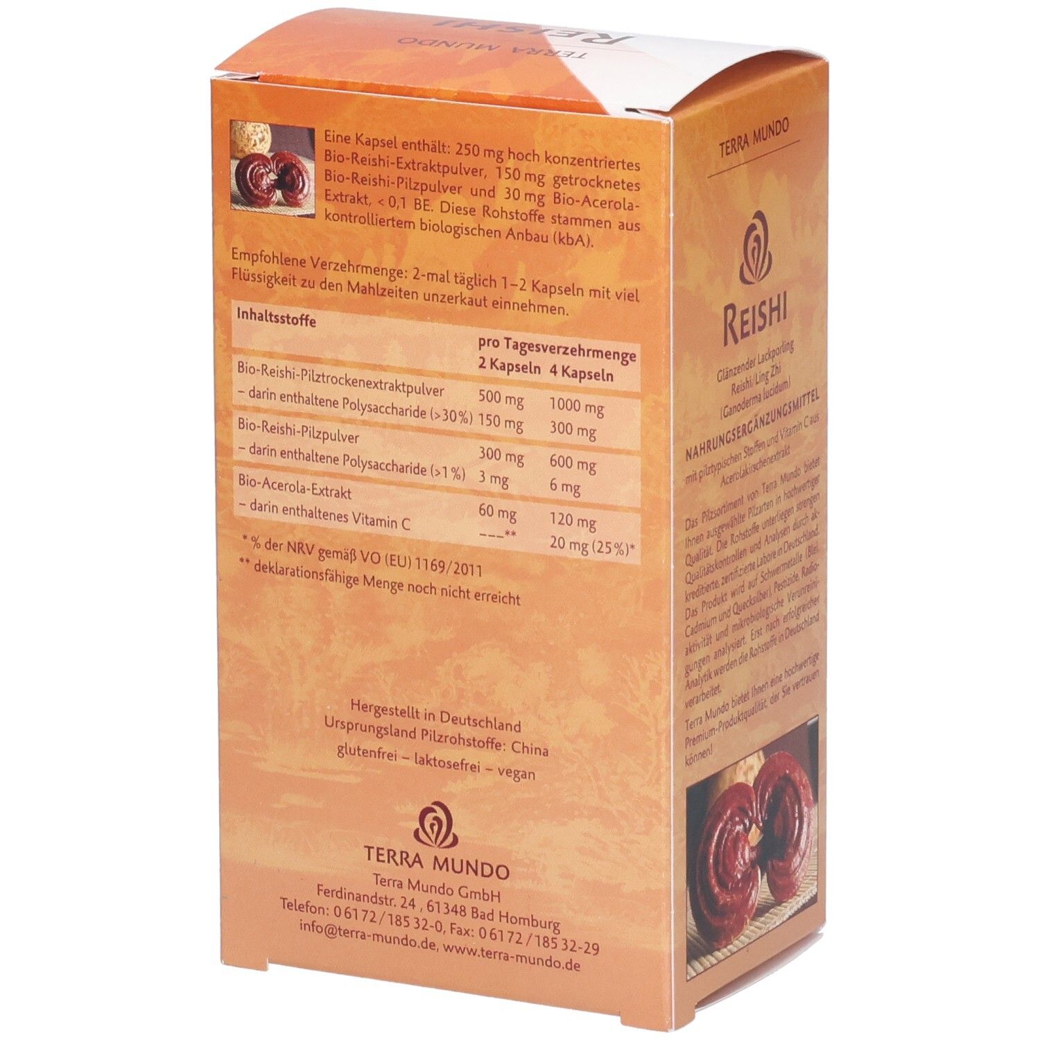 Dos d'une boîte Reishi marron. Texte: Reishi, ingrédients, dose recommandée. Labels bio.