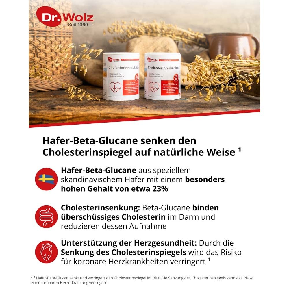 Cholesterinreduktion Dr. Wolz