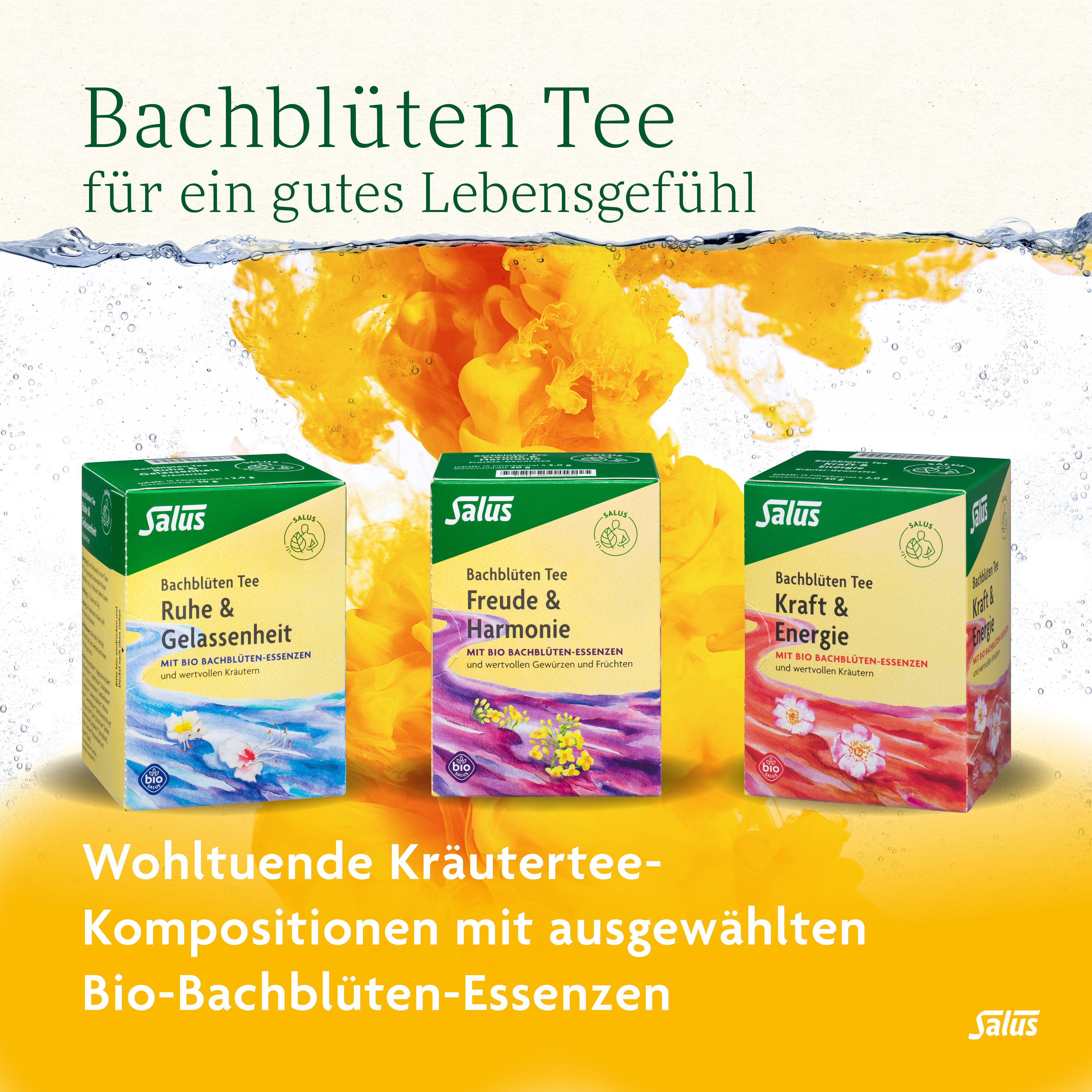 Salus® Bachblüten-Kräutertee Ruhe & Gelassenheit