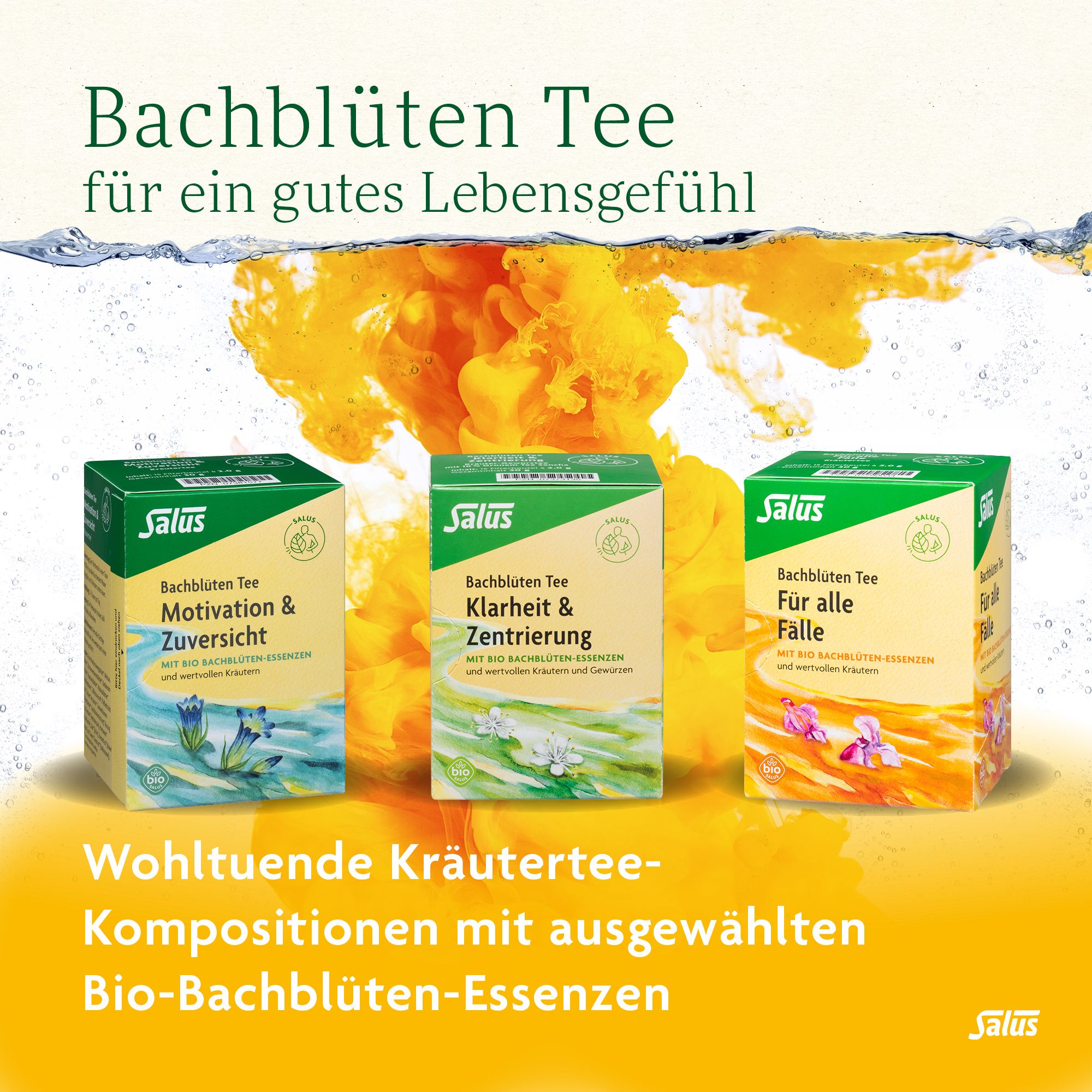 Salus® Bachblüten-Kräutertee Ruhe & Gelassenheit