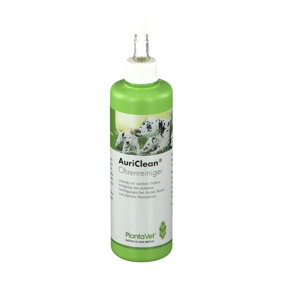 AuriClean
