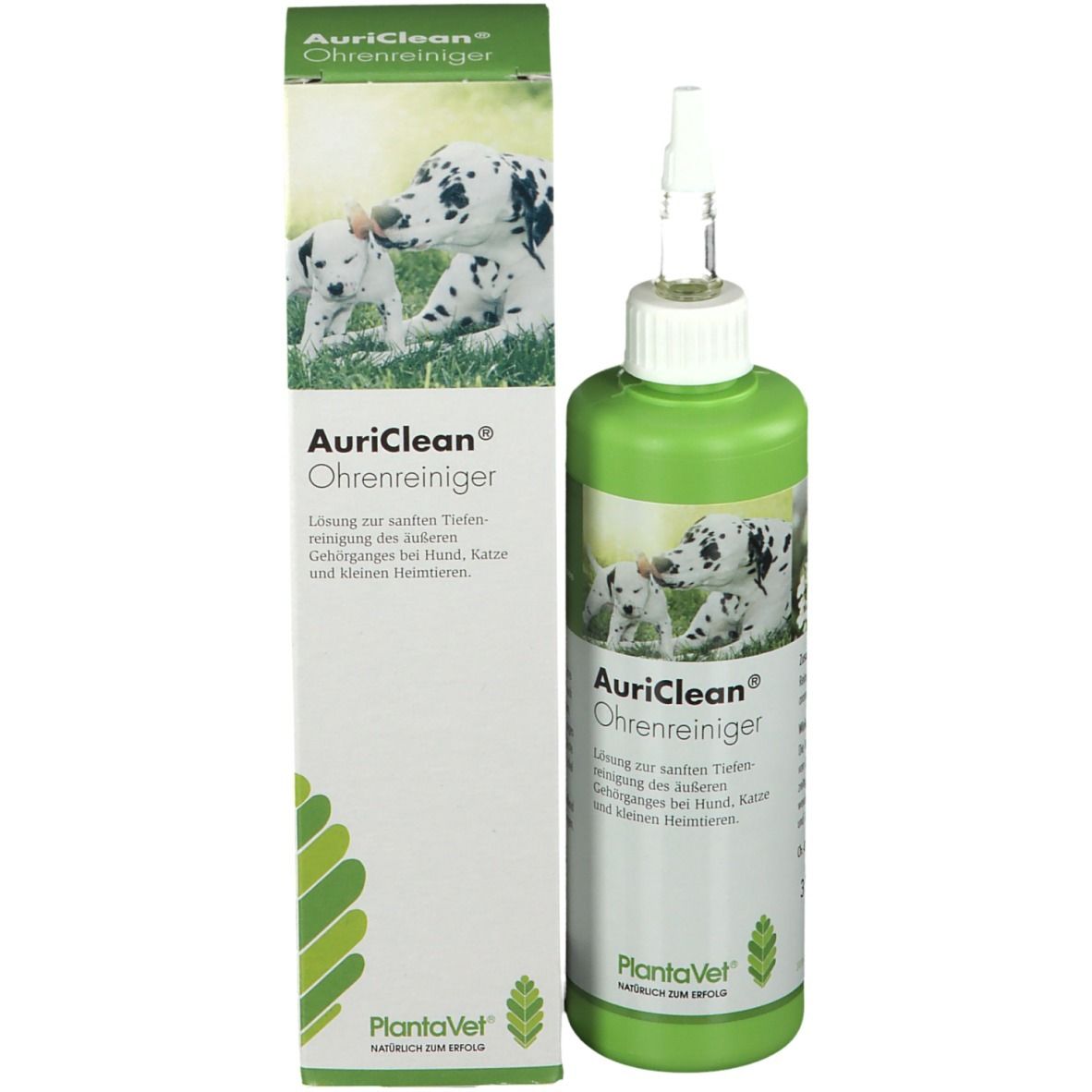 AuriClean