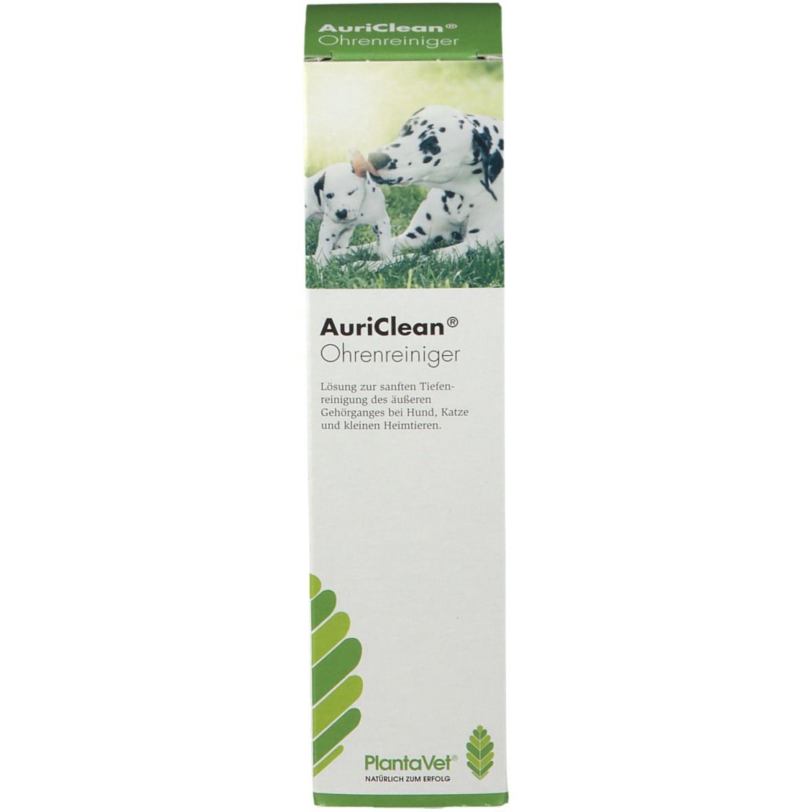 AuriClean