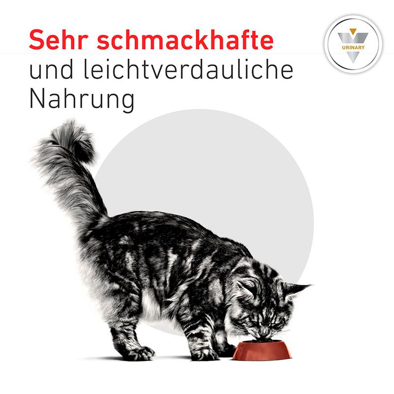 Katze frisst Royal Canin Veterinary Urinary S/O Nahrung aus einem Napf.