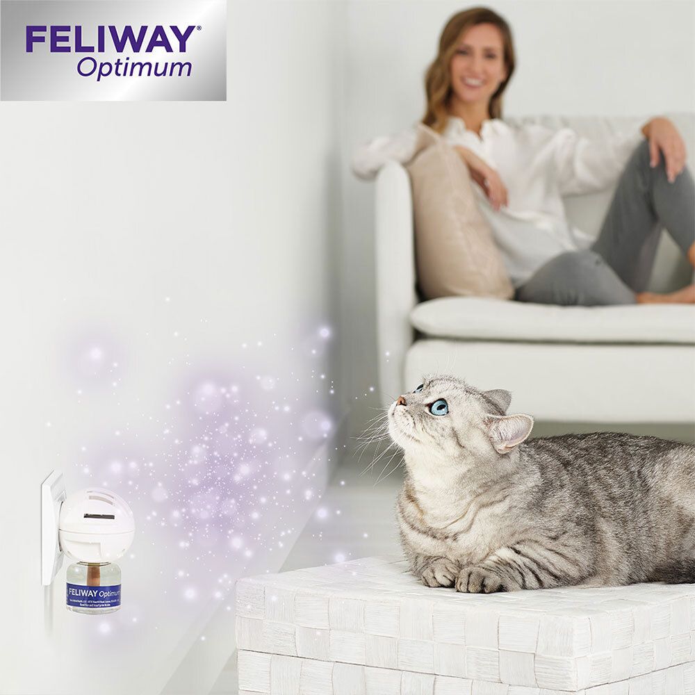 Chat regardant le diffuseur. Diffuseur FELIWAY® Optimum dans une prise murale. Femme assise sur un canapé.
