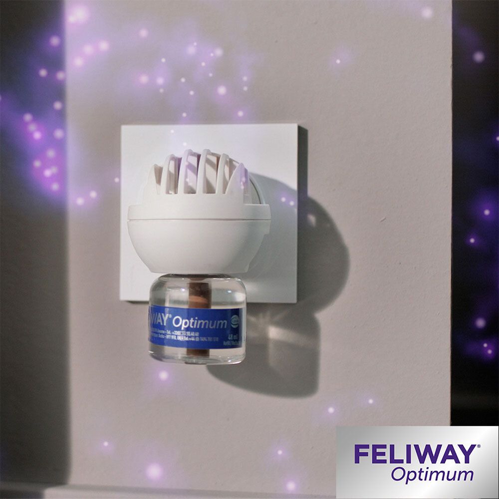 Diffuseur FELIWAY® Optimum dans une prise murale. Diffuseur blanc avec étiquette bleue. Particules violettes.