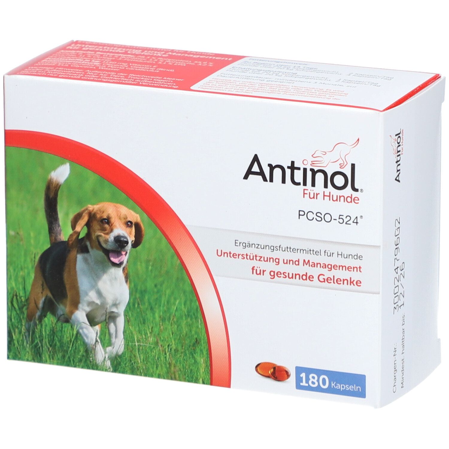 Weiße Box mit "Antinol Für Hunde"-Logo. Abgebildet ist ein Hund, daneben 180 Kapseln. Text: Ergänzungsfuttermittel für Hunde.