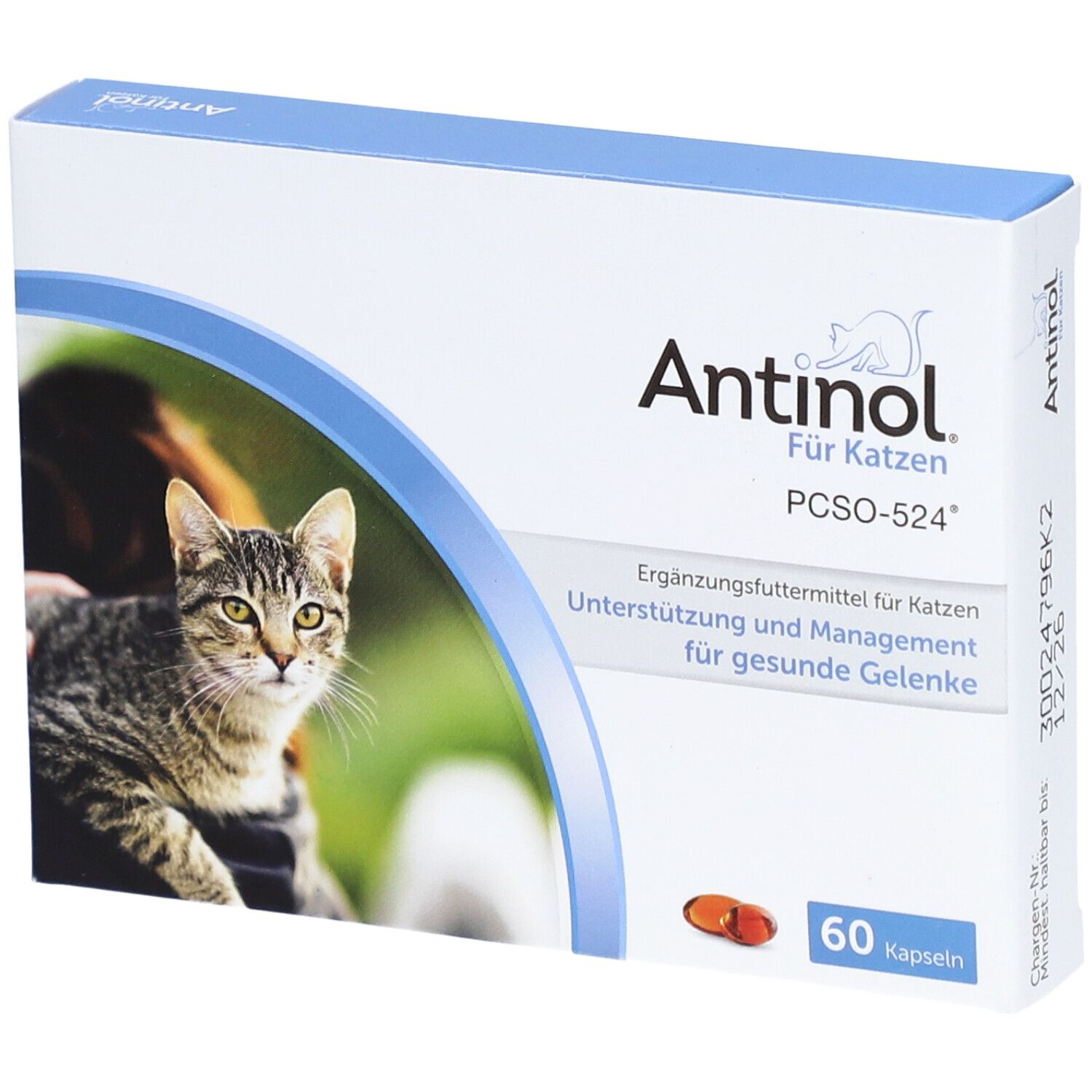 Schachtel Antinol® Für Katzen. Aufdruck: Katze, Produktname, 60 Kapseln. Oben blau, Katze auf der Vorderseite.