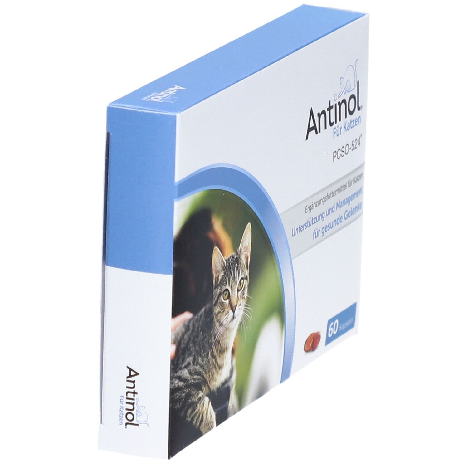 Schachtel Antinol® Für Katzen, schräg. Aufdruck: Katze, Produktname, 60 Kapseln. Blau oben.