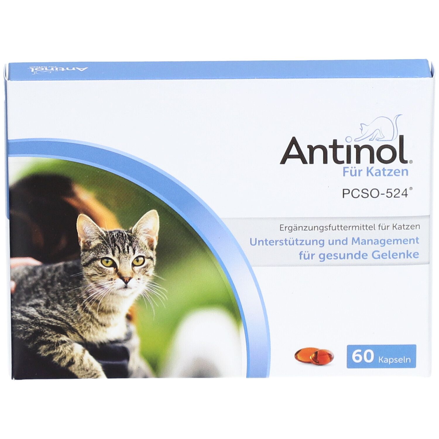 Schachtel Antinol® Für Katzen. Aufdruck: Katze, Produktname, 60 Kapseln. Oben blau, Katze auf der Vorderseite.