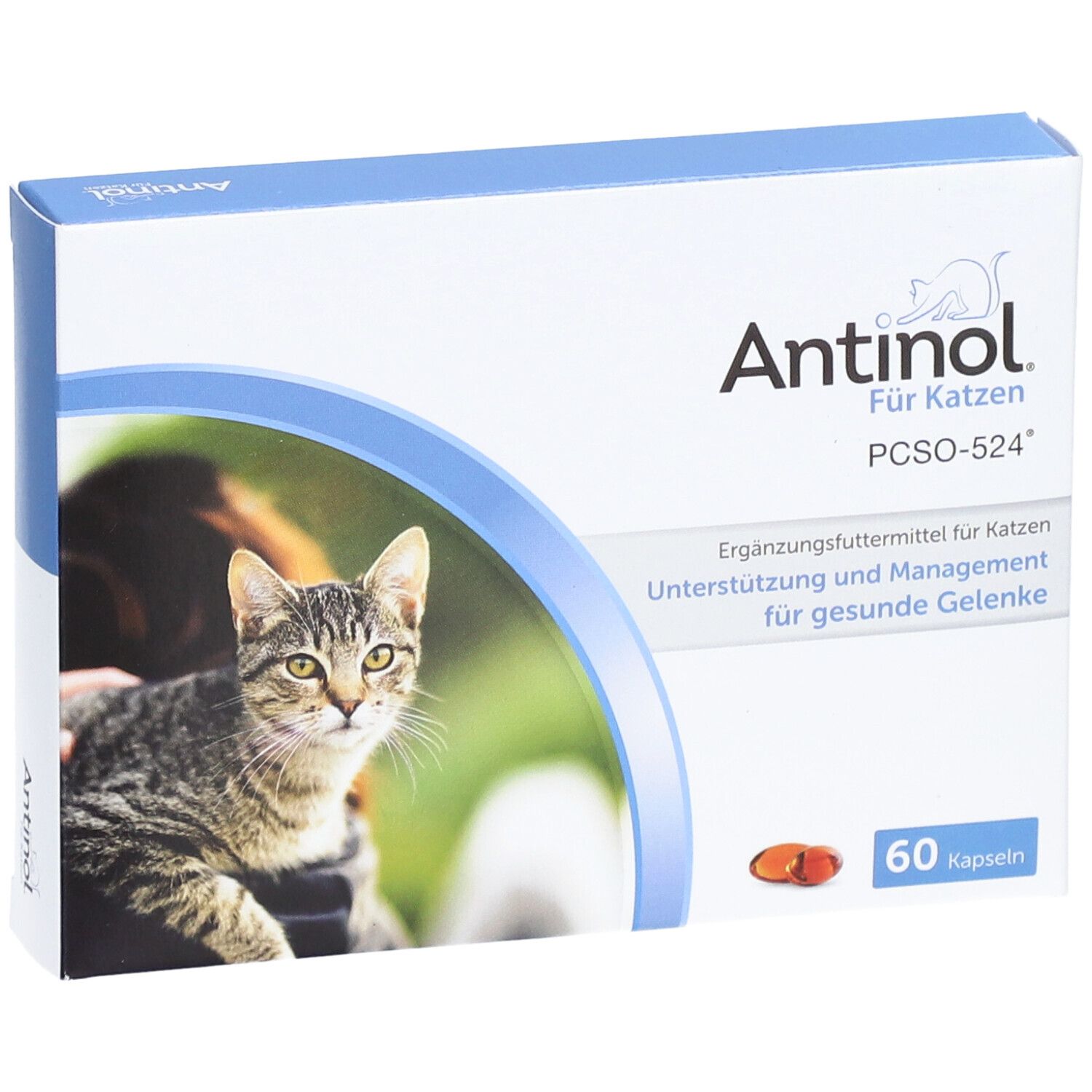 Schachtel Antinol® Für Katzen. Aufdruck: Katze, Produktname, 60 Kapseln. Oben blau, Katze auf der Vorderseite.