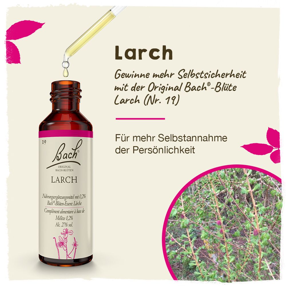 BACH®-BLÜTEN  L'équilibre intérieur Set