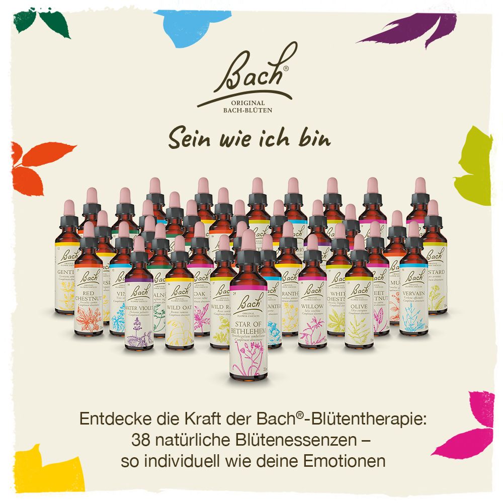 BACH®-BLÜTEN  L'équilibre intérieur Set