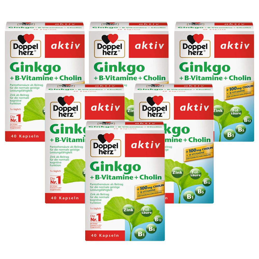 Doppelherz ® actif Ginkgo + vitamines B + choline