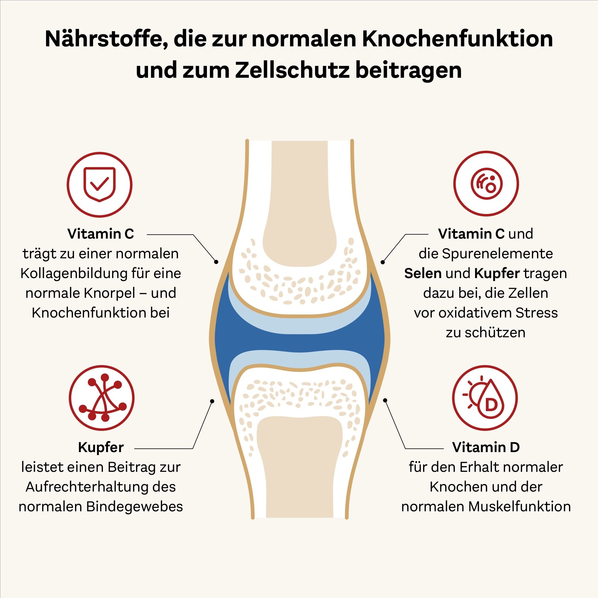 Doppelherz® system KOLLAGEN 11.000 PLUS Sparset