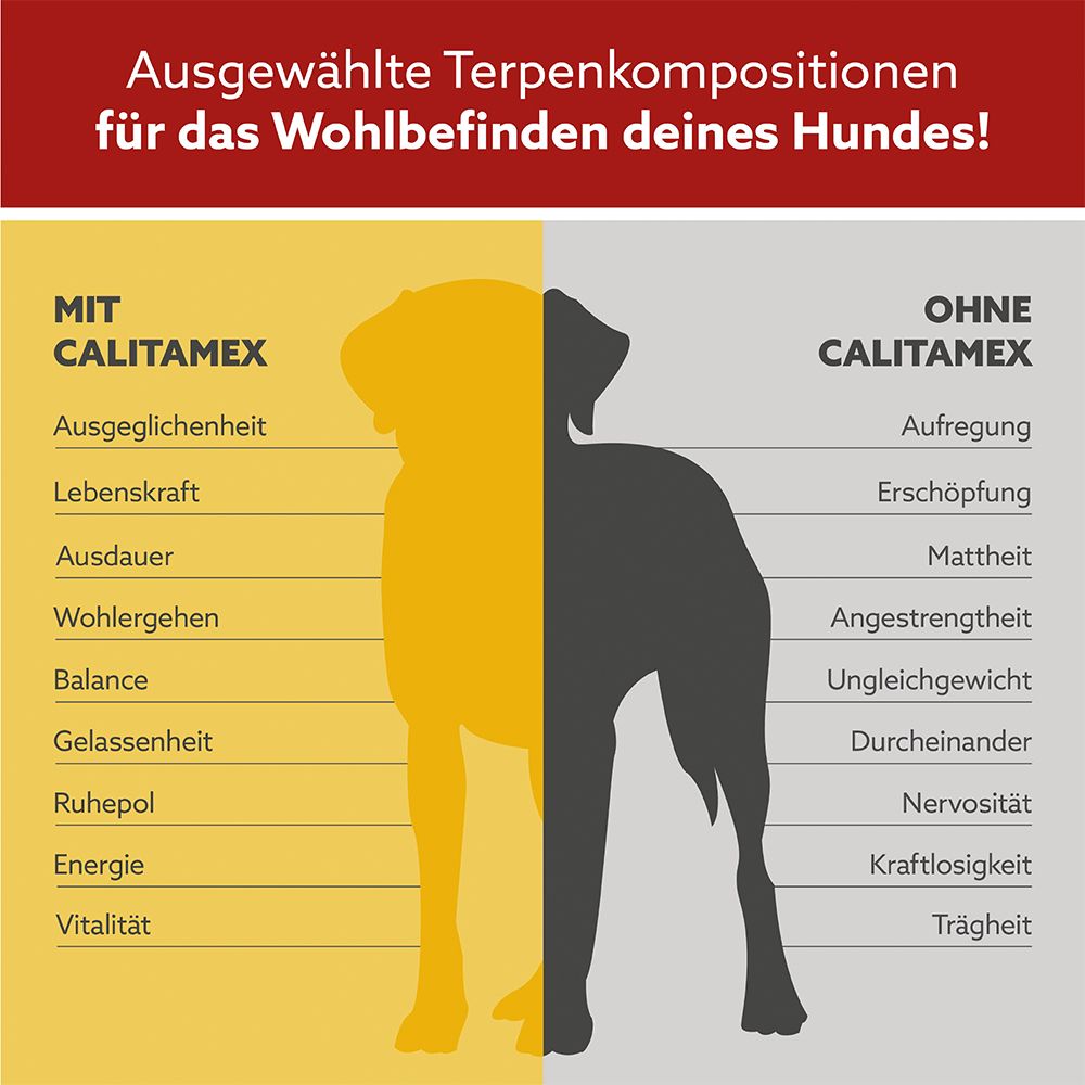 CALITAMEX CBD light pour chiens
