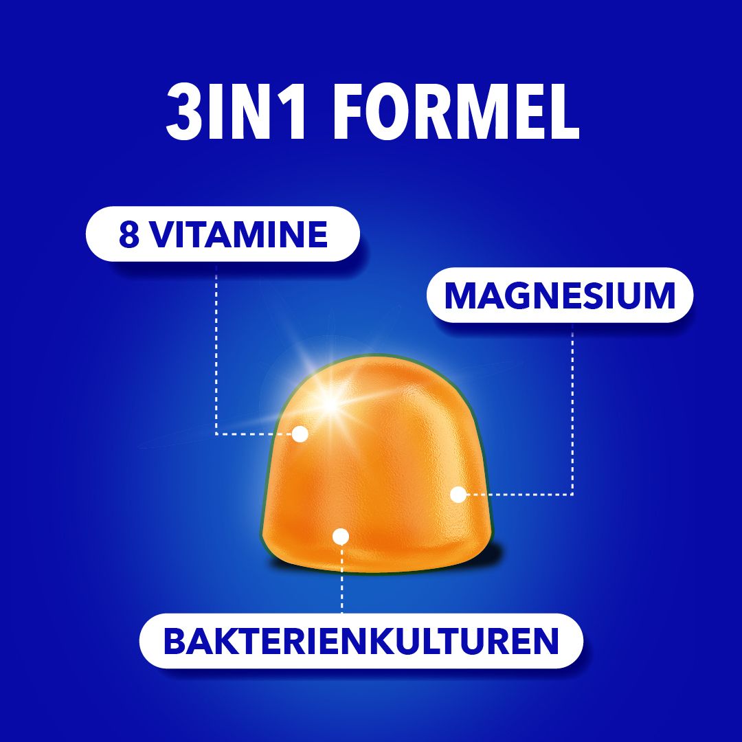 Grafik mit einem orangefarbenen Weichgummi. Text: 3in1 Formel, 8 Vitamine, Magnesium, Bakterienkulturen.
