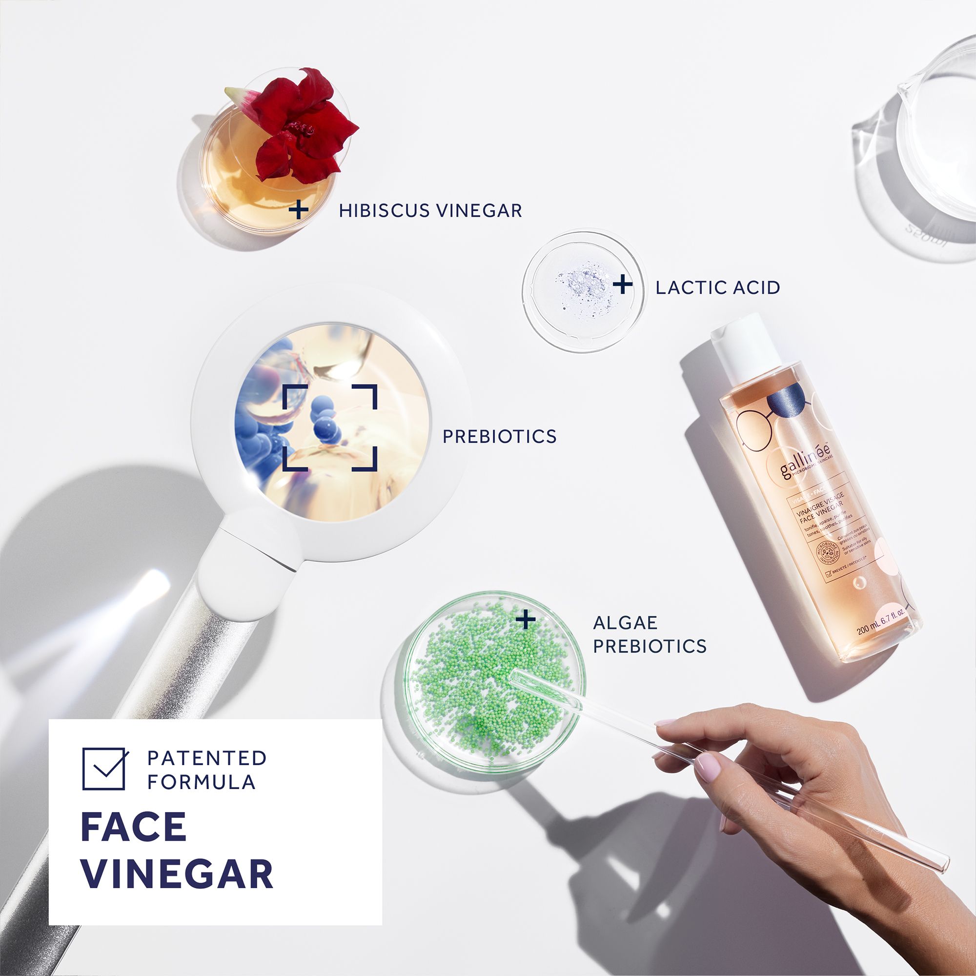 Gallinée Face Vinegar - Sanfte Lotion für einen strahlenden und gesunden Teint - für empfindliche Haut geeignet