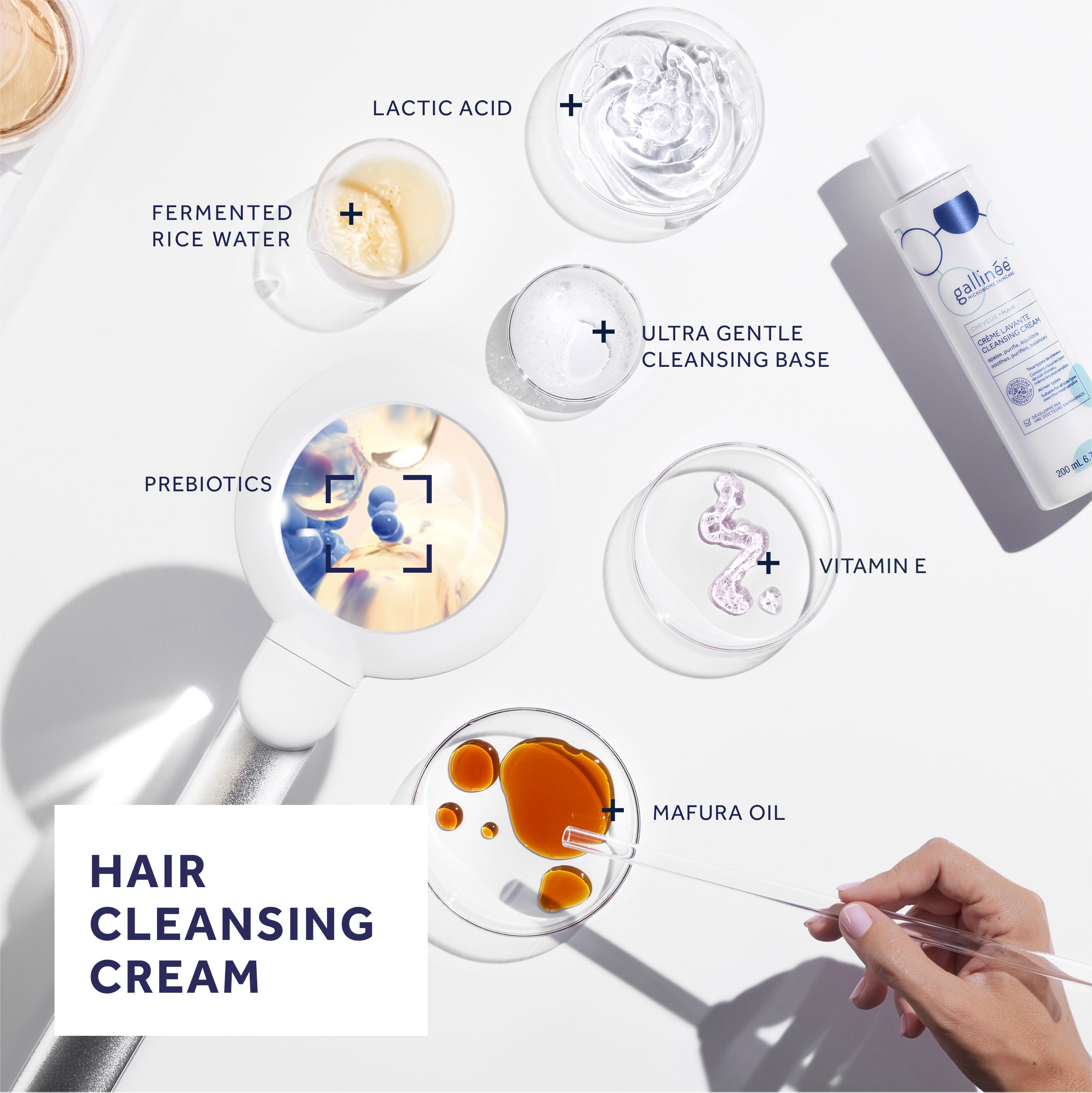 Ingrédients et flacon de shampooing. Étiquettes : Lactic Acid, Vitamine E, Mafura Oil, Prebiotics, Ultra Gentle Cleansing Base.