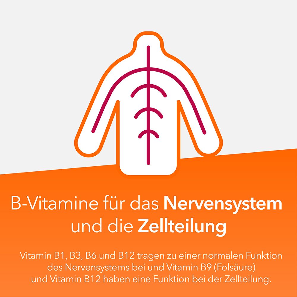 Neuropax-ratiopharm forte avec uridine monophosphate (UMP), vitamine B12 et acide folique pour soutenir la régénération nerveuse