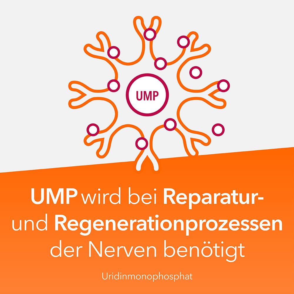 Neuropax-ratiopharm forte avec uridine monophosphate (UMP), vitamine B12 et acide folique pour soutenir la régénération nerveuse