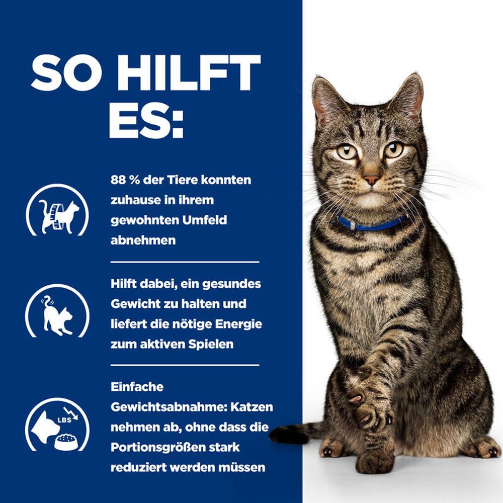 Chat avec collier bleu. Texte: Comment ça aide: perte de poids, poids sain, énergie.