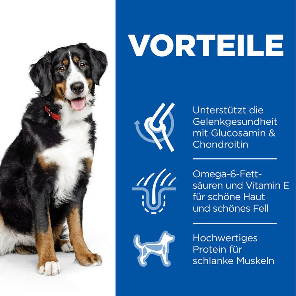 Hund neben Text. Vorteile: Gelenkgesundheit, Haut & Fell, schlanke Muskeln. Symbole: Gelenk, Haut, Hund.