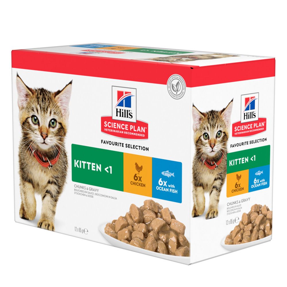 Boîte de nourriture humide Hill's Science Plan Kitten. Des chatons et des morceaux de nourriture sont représentés. Logo et texte visibles.
