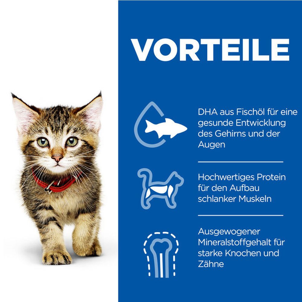 Fond bleu avec texte et symboles. Texte : Avantages. Symboles : poisson, chat, os. Texte sur DHA, protéines et minéraux.
