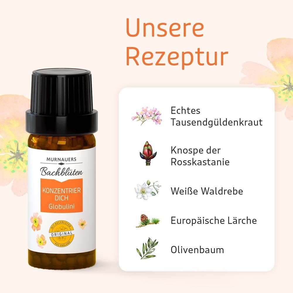 Flacon brun avec bouchon noir. Inscription : MURNAUERS Bachblüten KONZENTRIER DICH Globulini. Avec Bachblüten Original. Illustrations des ingrédients.