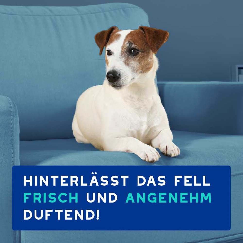 Hund auf Sofa. Text: Hinterlässt das Fell frisch und angenehm duftend!