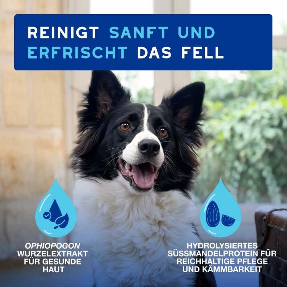 Hund mit Text: Reinigt sanft und erfrischt das Fell. Ophiopogon Wurzelextrakt. Hydrolysiertes Süßmandelprotein.