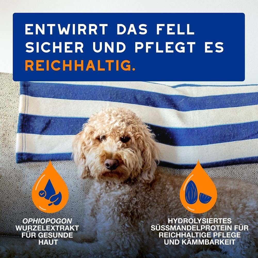 Hund mit lockigem Fell. Text: Entwirrt das Fell sicher und pflegt es reichhaltig. Ophiopogon-Wurzelextrakt. Hydrolysiertes Süßmandelprotein.