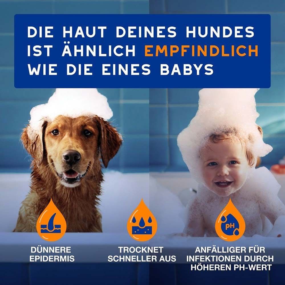 Hund und Baby in Badewannen. Text: Die Haut deines Hundes ist ähnlich empfindlich wie die eines Babys. Dünnere Epidermis. Trocknet schneller aus.