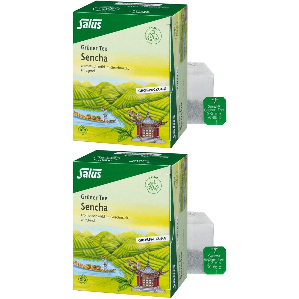 Deux boîtes de Salus® Thé Vert Sencha. Boîtes vertes et blanches avec paysage et sachets de thé. Grand format.