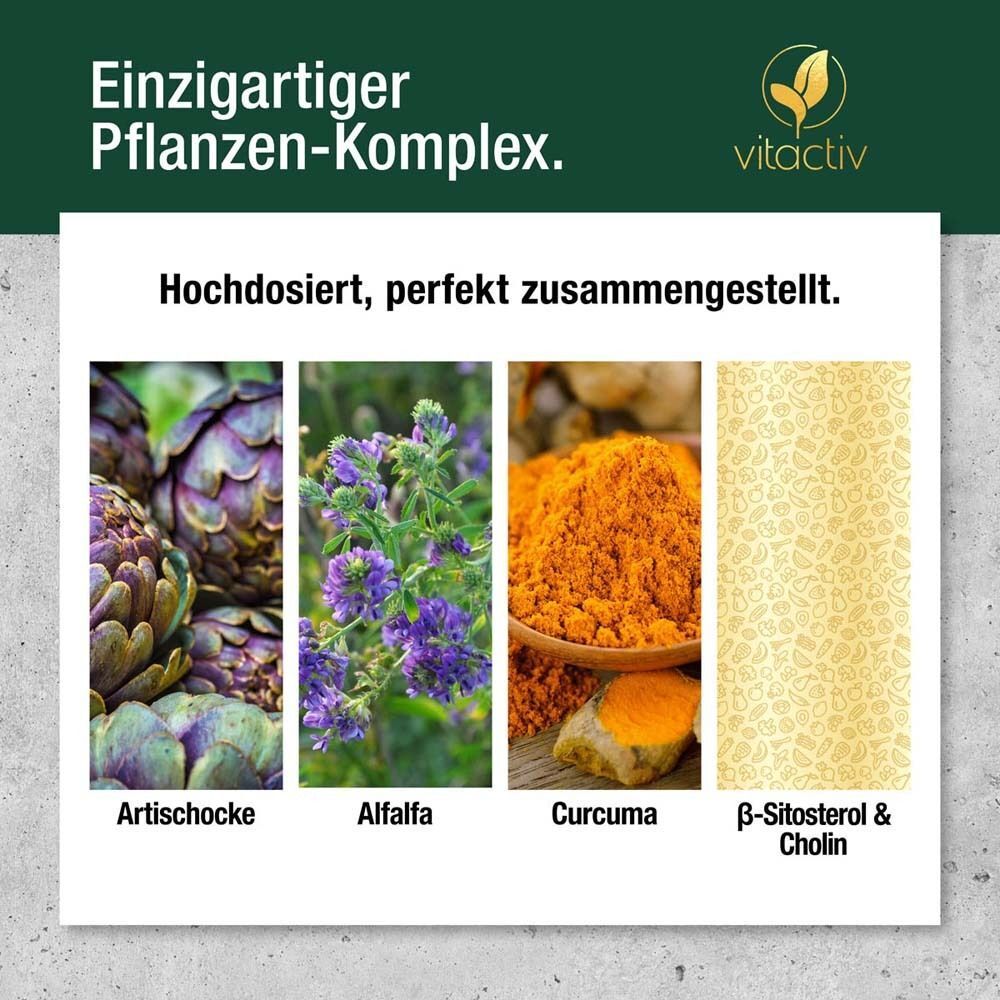 Artichaut, luzerne, curcuma et ß-sitostérol & choline. Complexe végétal. Fortement dosé.