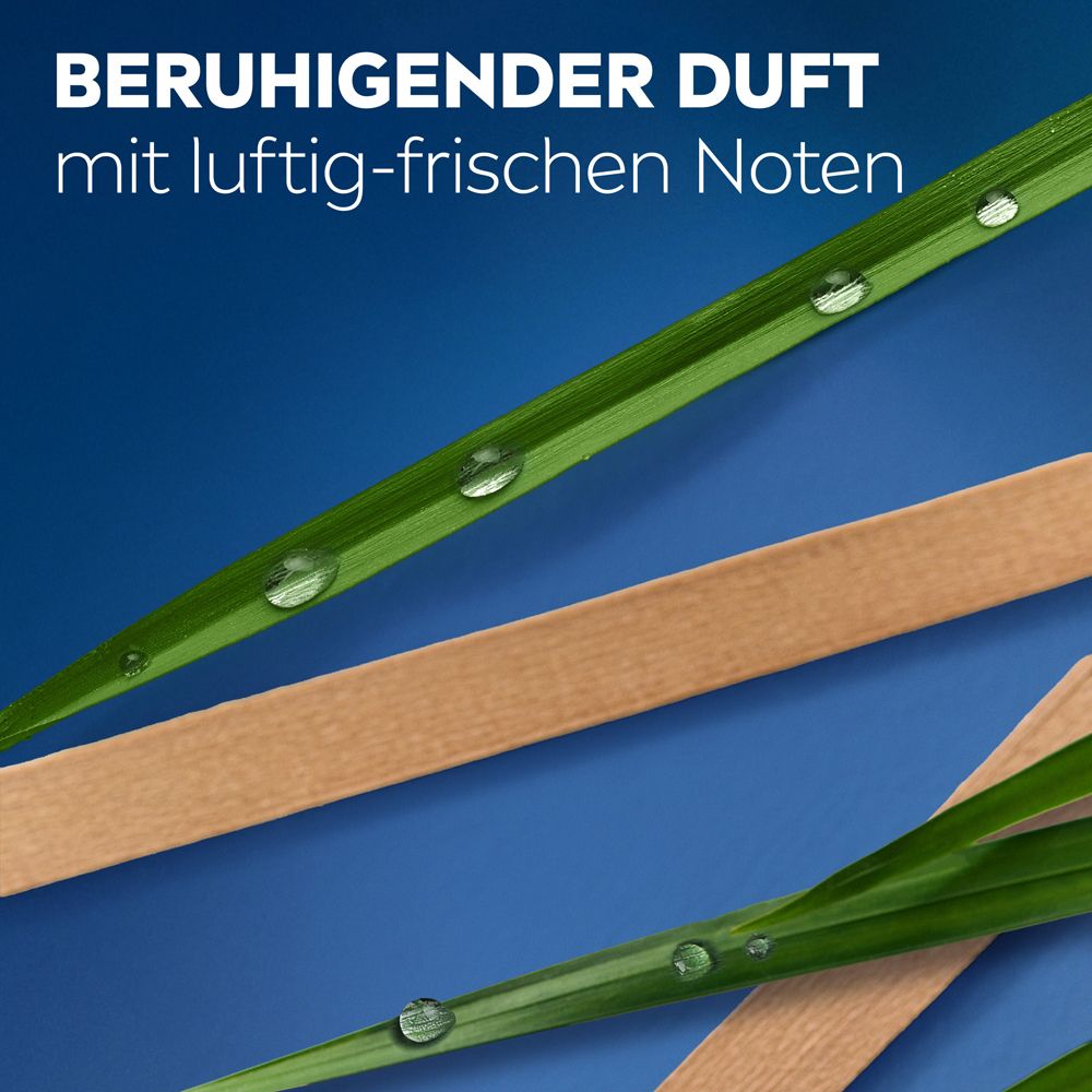 Zwei Holzstäbchen liegen auf blauem Hintergrund, bedeckt mit Grashalmen und Tautropfen.