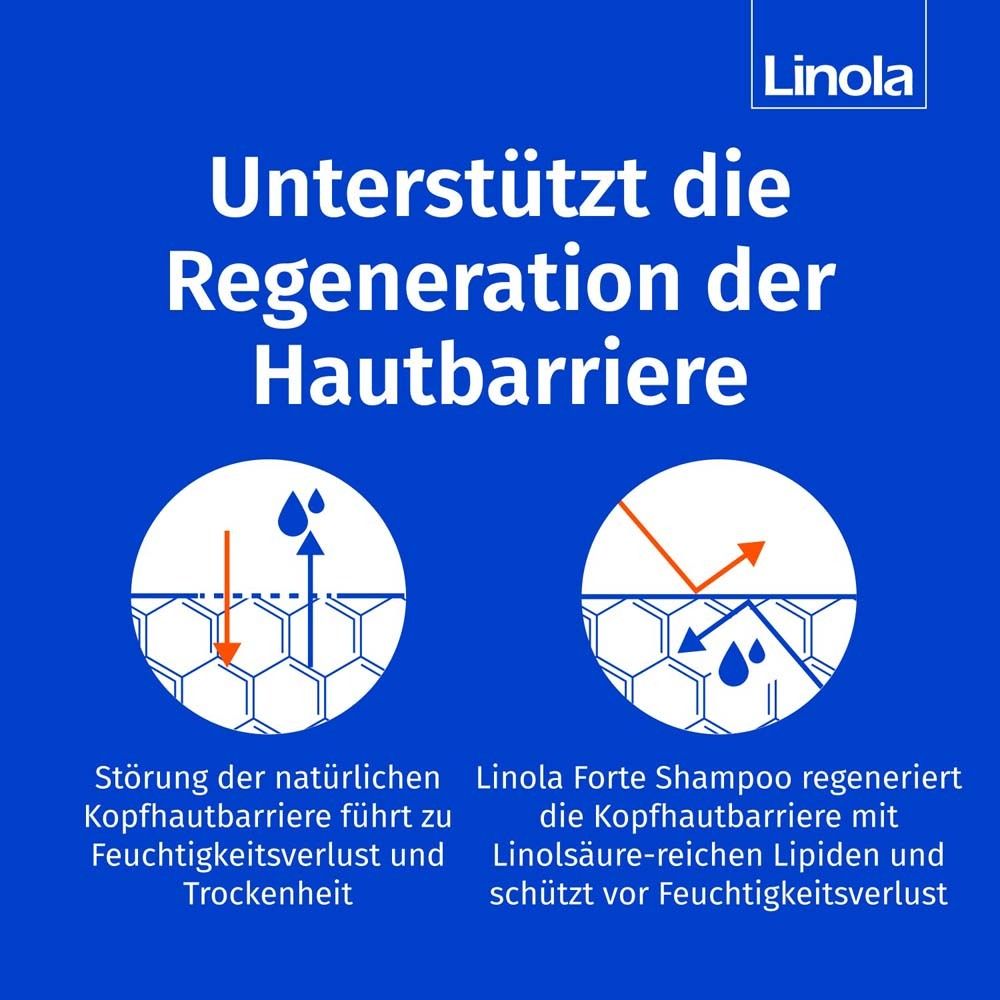 Blauer Hintergrund mit Diagrammen. Text: Unterstützt die Regeneration der Hautbarriere. Störung der Hautbarriere.