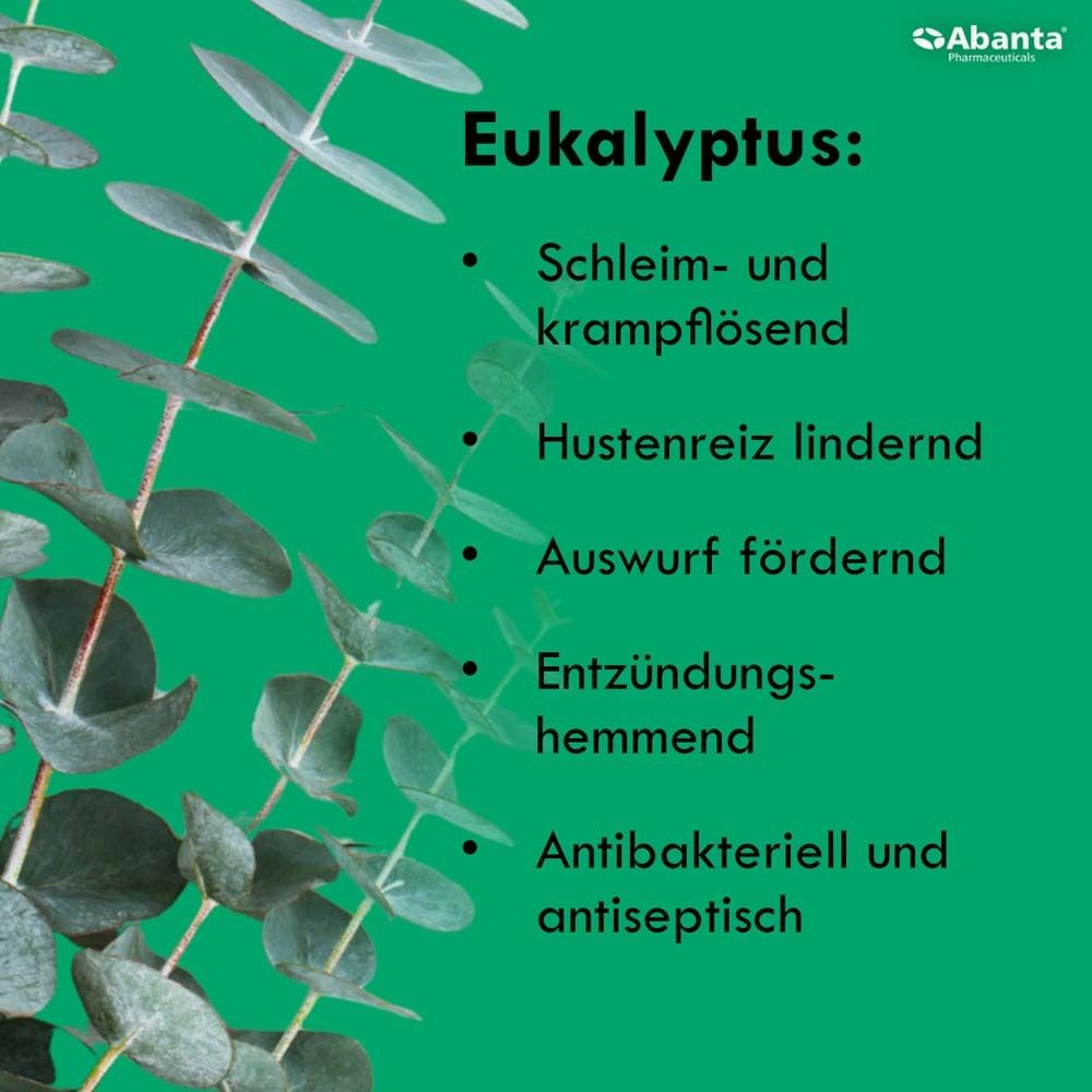 Texte sur l'eucalyptus: mucolytique, soulage la toux, favorise l'expectoration, anti-inflammatoire, antibactérien.