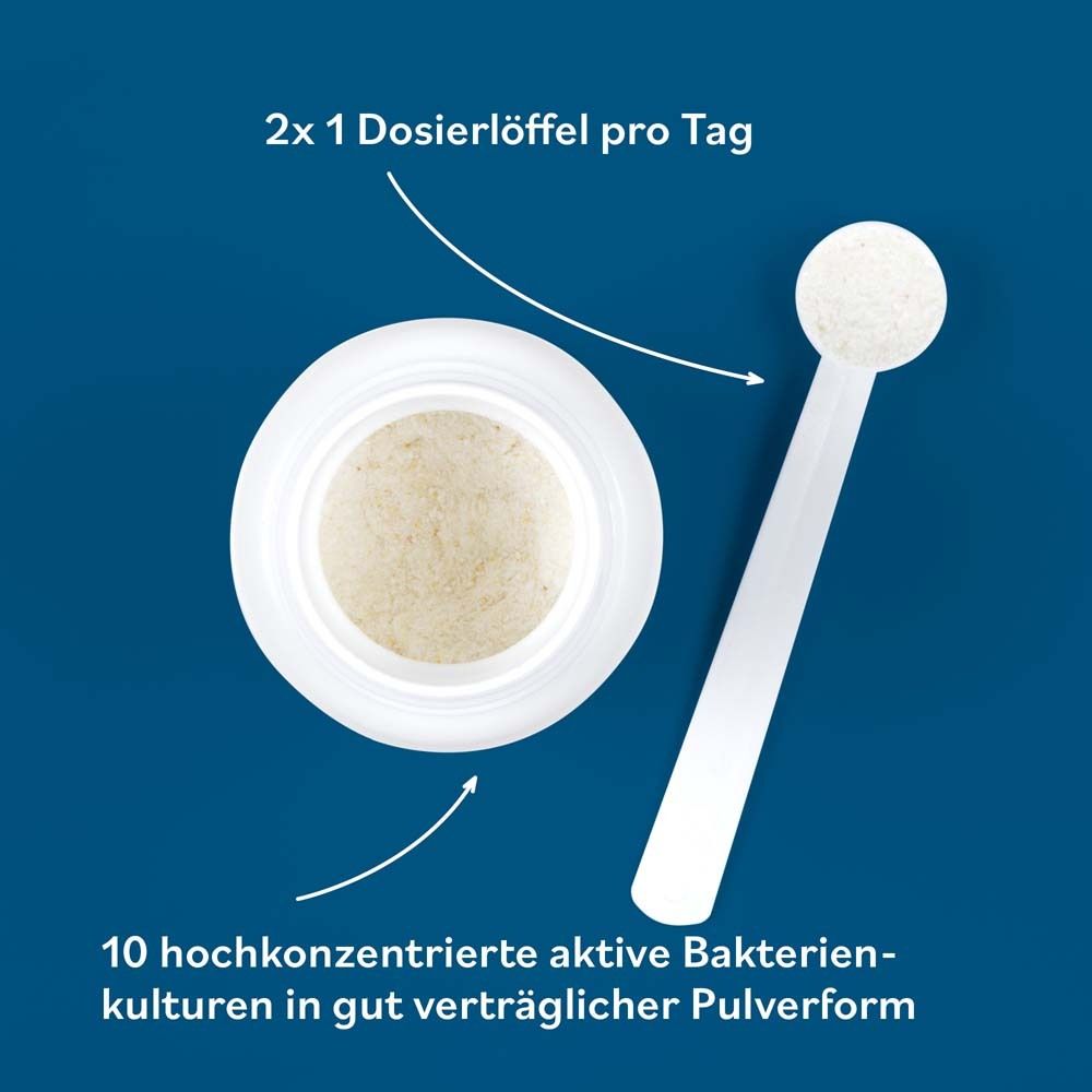 Behälter mit Pulver und Dosierlöffel. Text: 2x1 Dosierlöffel pro Tag. 10 hochkonzentrierte aktive Bakterienkulturen.