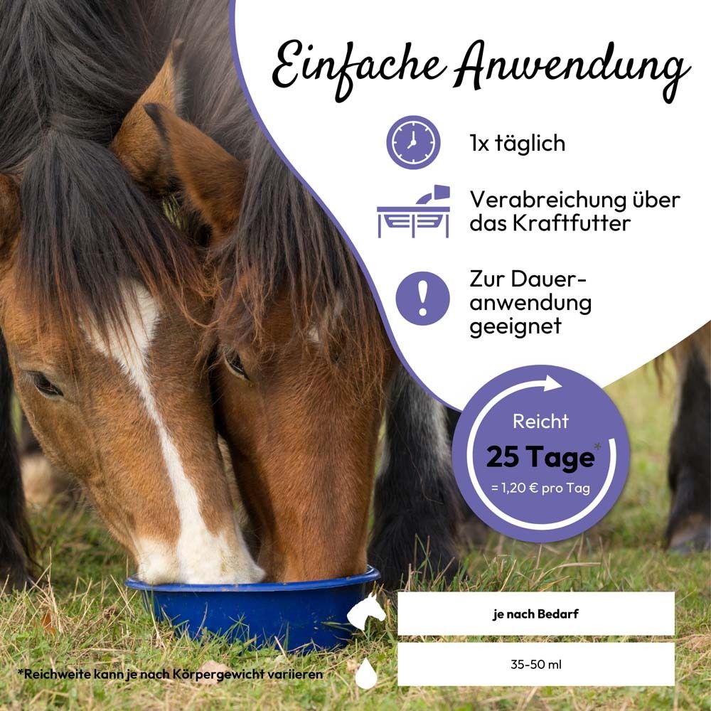 Deux chevaux boivent dans un bol bleu. Texte : Application facile. 25 jours.