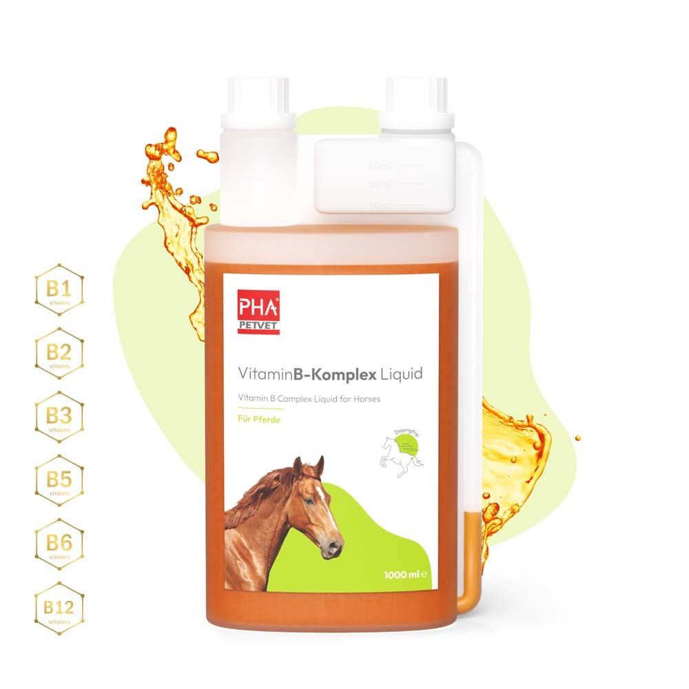 Flasche mit Vitamin-B-Komplex Liquid für Pferde. Flüssigkeit, B-Vitamine-Symbole, 1000 ml.