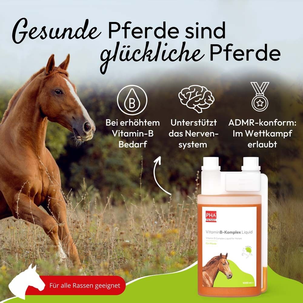 Pferd neben Flasche mit Vitamin-B-Komplex Liquid. Text: Vitamin-B-Bedarf, Nervensystem, ADMR-konform.