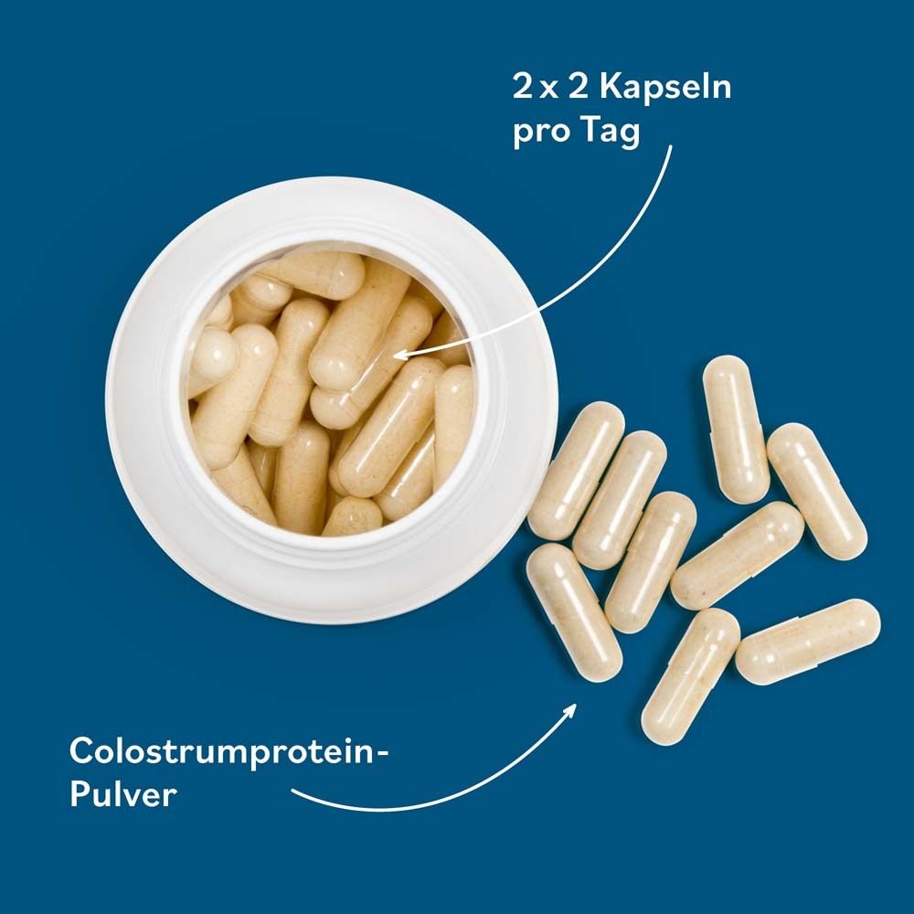 Flacon de gélules ouvert avec gélules brun clair. Gélules à côté. Inscription: Poudre de colostrum.